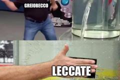 Leccoback