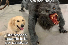 Greiobecco quando lo fa...