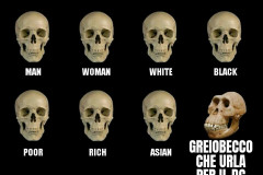 Greiobecco e il DC