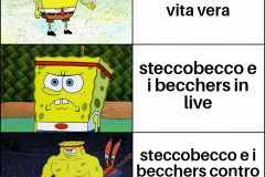 Steccobecchers vs Redazione